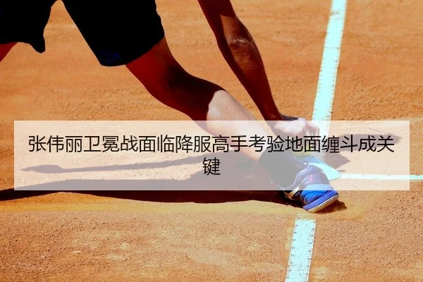 张伟丽卫冕战面临降服高手考验地面缠斗成关键